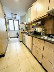 The Tessarina (D10), Condominium #414869341